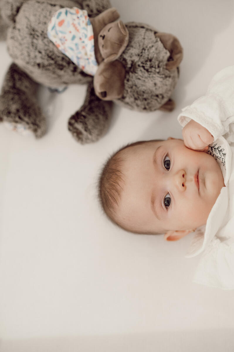 Vezi catalog Vezi catalog